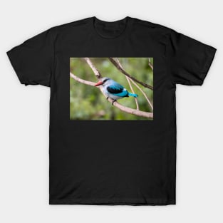 Woodland Kingfisher, Ngorongoro Crater, Tanzania T-Shirt